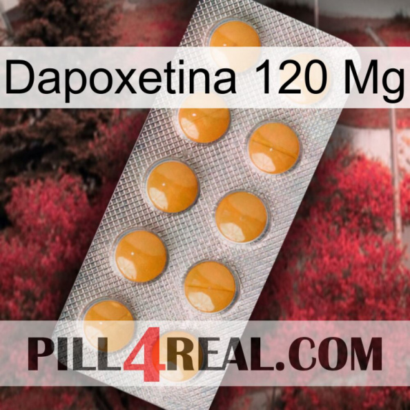 Dapoxetine 120 Mg levitra1.jpg